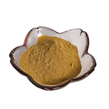 factory suppy high quiaty Bletilla striata stem extract powder
